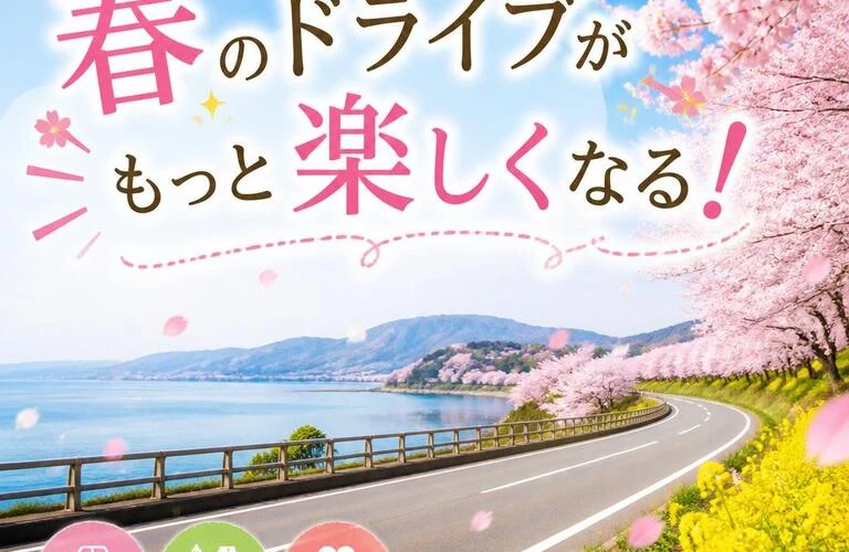 春のドライブがもっと楽しくなる！